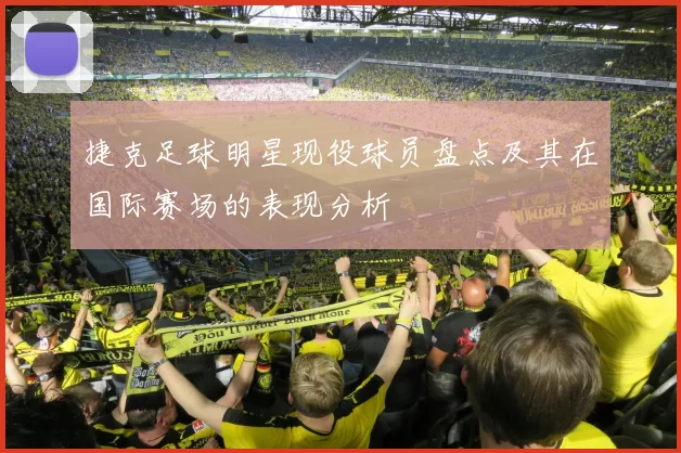 捷克足球明星现役球员盘点及其在国际赛场的表现分析