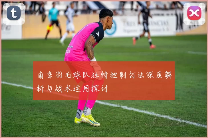 南京羽毛球队独特控制打法深度解析与战术运用探讨