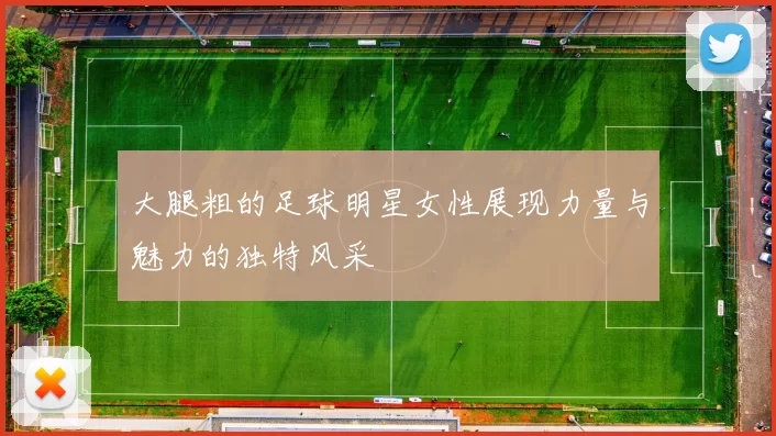 大腿粗的足球明星女性展现力量与魅力的独特风采