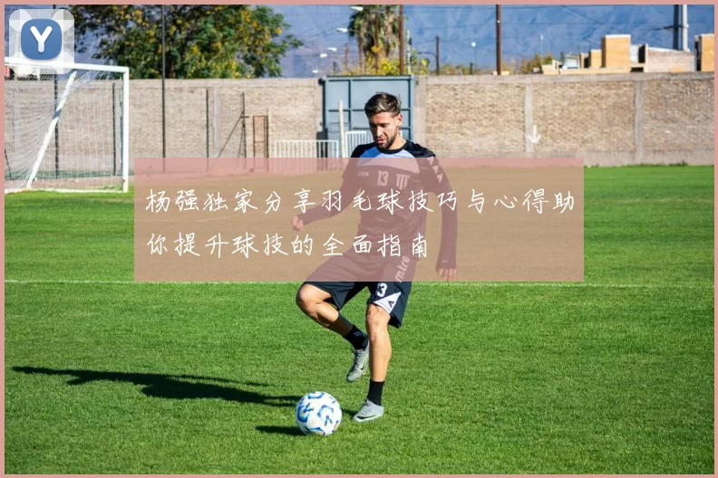 杨强独家分享羽毛球技巧与心得助你提升球技的全面指南