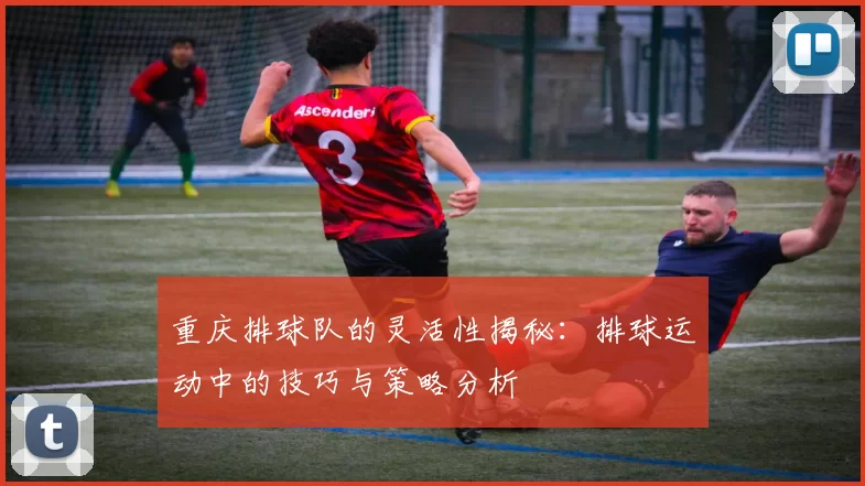 重庆排球队的灵活性揭秘：排球运动中的技巧与策略分析