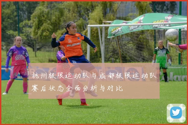 杭州极限运动队与成都极限运动队赛后状态全面分析与对比