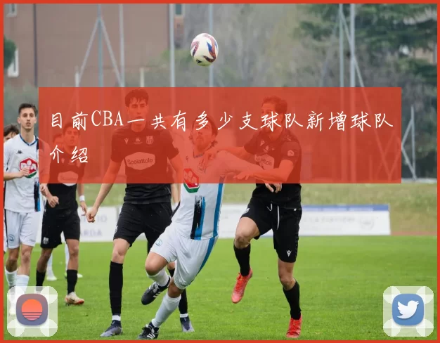 目前CBA一共有多少支球队新增球队介绍