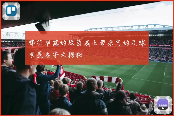 锋芒毕露的绿茵战士带杀气的足球明星名字大揭秘