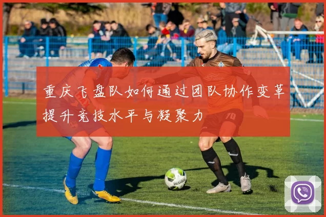 重庆飞盘队如何通过团队协作变革提升竞技水平与凝聚力