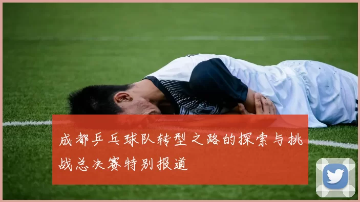 成都乒乓球队转型之路的探索与挑战总决赛特别报道