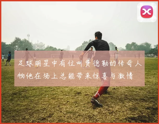 足球明星中有位叫费德勒的传奇人物他在场上总能带来惊喜与激情