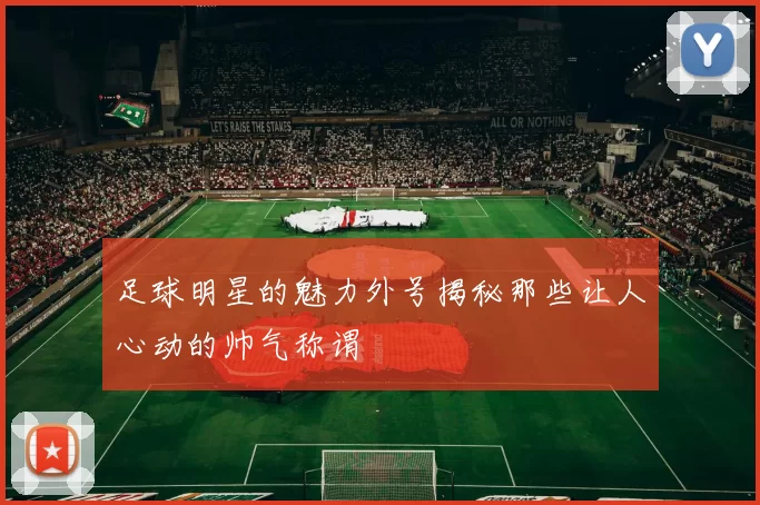 足球明星的魅力外号揭秘那些让人心动的帅气称谓