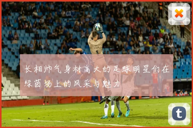 长相帅气身材高大的足球明星们在绿茵场上的风采与魅力