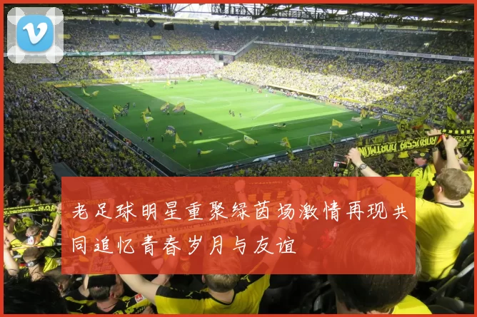 老足球明星重聚绿茵场激情再现共同追忆青春岁月与友谊