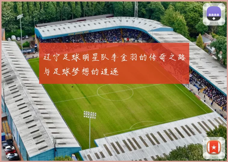 辽宁足球明星队李金羽的传奇之路与足球梦想的追逐
