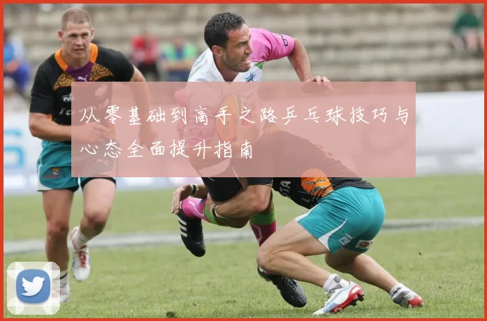 从零基础到高手之路乒乓球技巧与心态全面提升指南