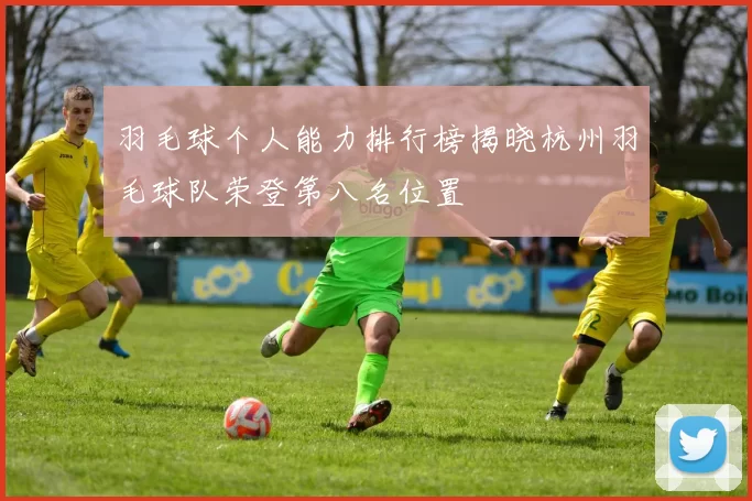羽毛球个人能力排行榜揭晓杭州羽毛球队荣登第八名位置