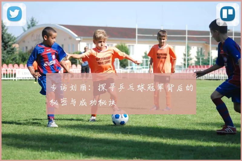 专访刘丽：探寻乒乓球冠军背后的秘密与成功秘诀