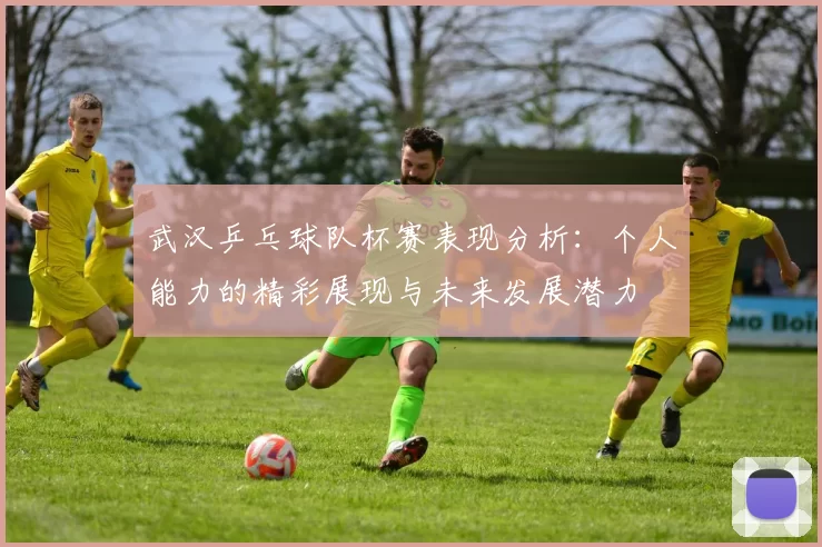 武汉乒乓球队杯赛表现分析：个人能力的精彩展现与未来发展潜力