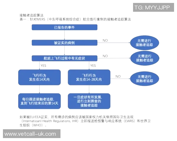 武汉网球队实力分析与表现评估探讨及未来发展方向研究