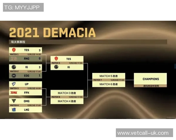 深度剖析EDG战队比赛经验的异同与影响因素