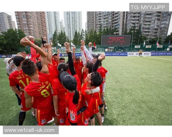 赛后分析：北京飞盘队与成都飞盘队实力对比与比赛亮点回顾