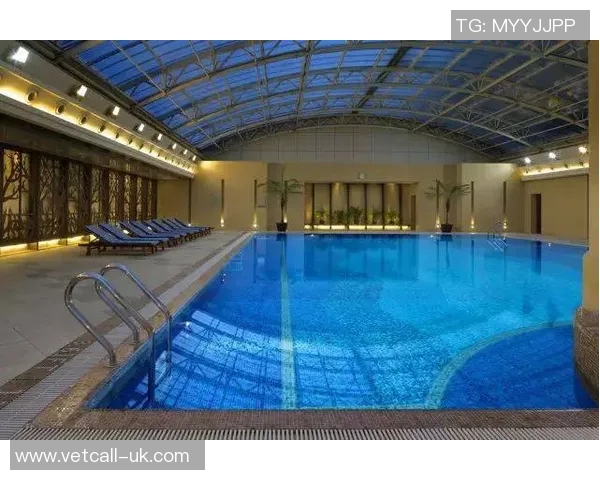 以室内泳池为核心打造高端休闲空间，提升生活品质与健康体验