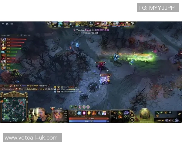 IG逆袭之路：DOTA2赛场上的传奇故事与荣耀重生