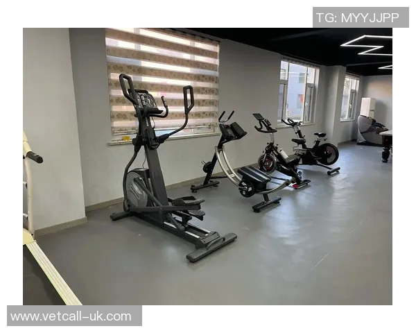 购健身器材：购买健身器材的注意事项与购买指南