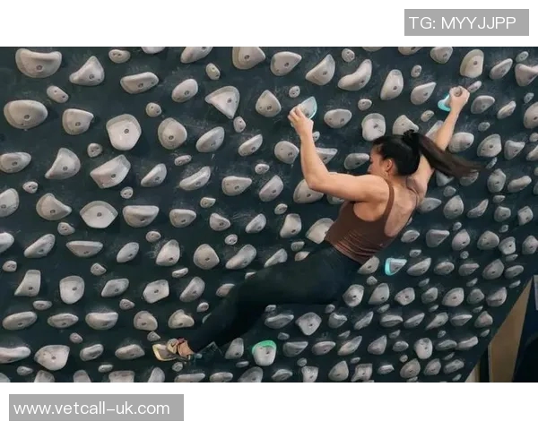 城市马拉松赛评析：上海攀岩队的竞技表现与经验分享