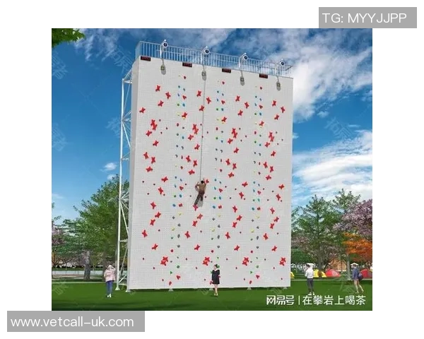 成都攀岩队员个人能力深度对比与分析揭示团队潜力与发展方向