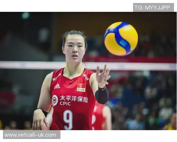 杨强专访揭秘排球成功秘诀与未来发展方向
