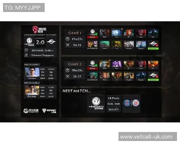 DOTA2战术解析：深入探讨IG战队的边路渗透策略与执行技巧